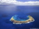 Aerial_view_335