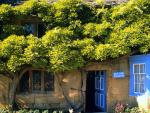 England_073
