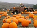 Pumpkin_02