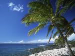 Hawaiian_01