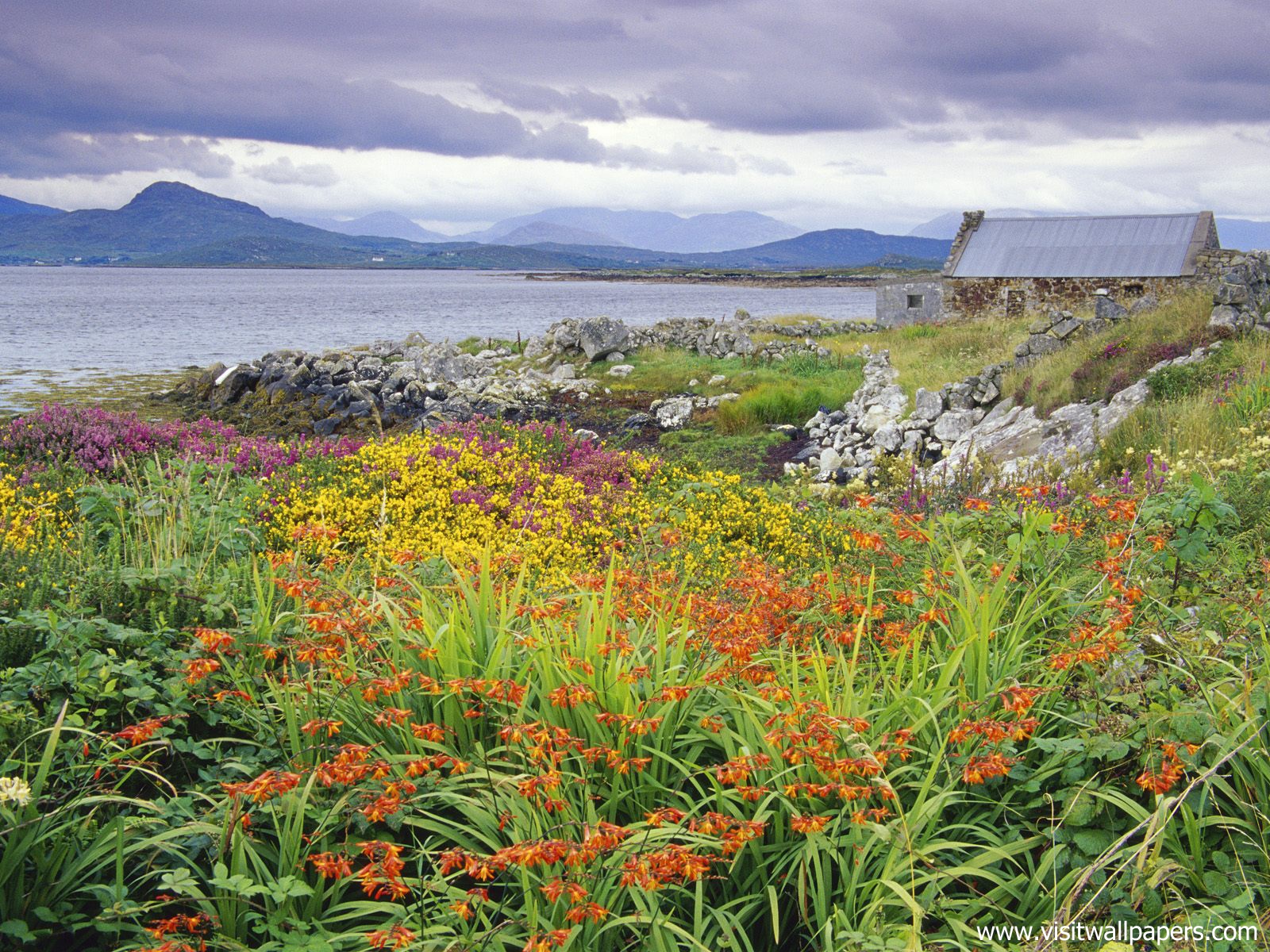 Carna_Bay_Ireland