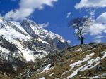 mountains_252