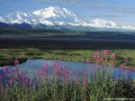 mountains_254