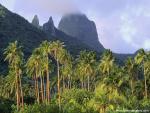 mountains_256