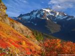 mountains_261