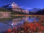mountains_272