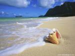 Beaches_063