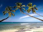 Beaches_071