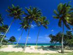 Beaches_073
