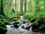 Parks_202