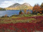 Parks_211