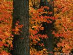 Parks_218