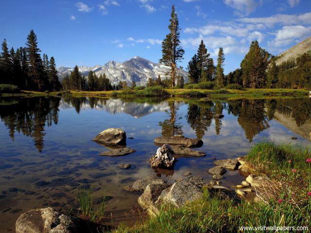 Parks_221