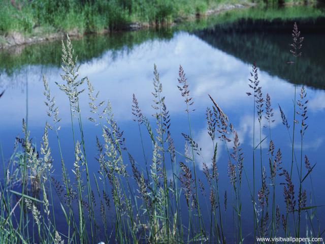 Sky_Reflected_in_a_Pond