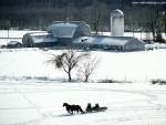 Sleigh_Ride