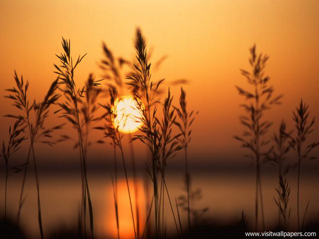 A_Setting_Sun