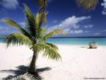tree_233