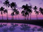 tree_239
