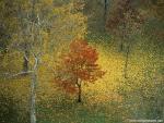 tree_241