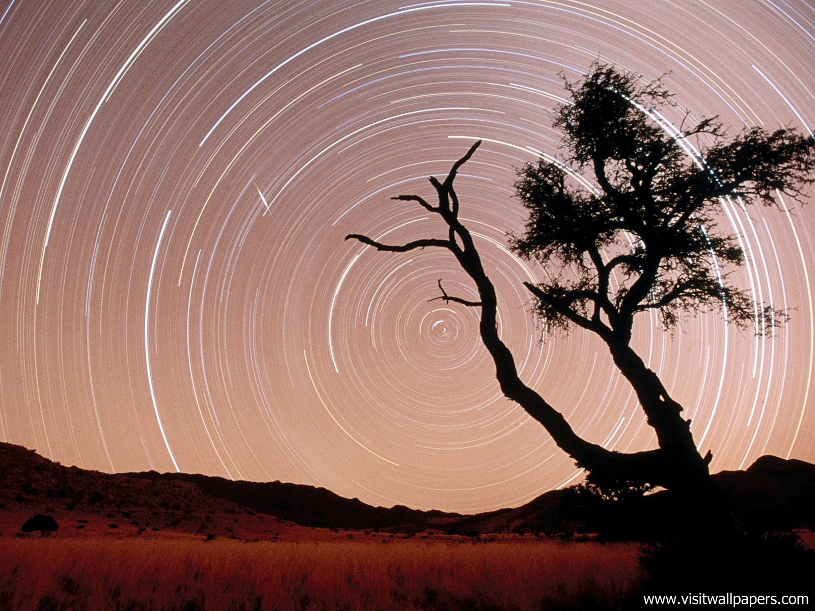 Star_Trails_03