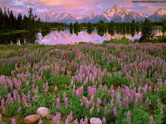 Sunrise_Light_01