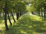 England_082