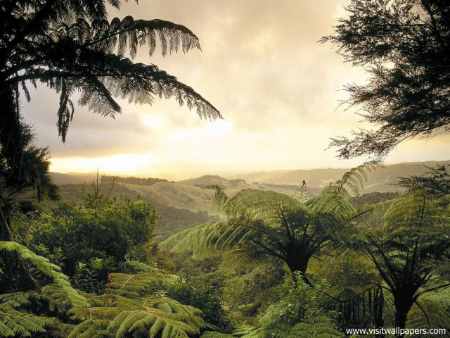 New_Zealand_176