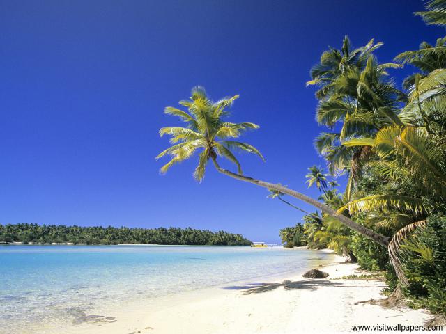 New_Zealand_183
