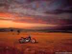 Honda_Shadow_at_Sunset