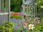 Garden_Gate