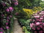 Garden_052