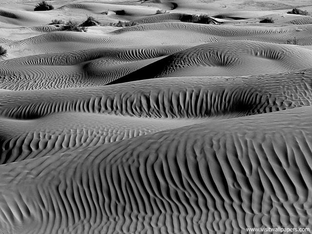 Desert_18