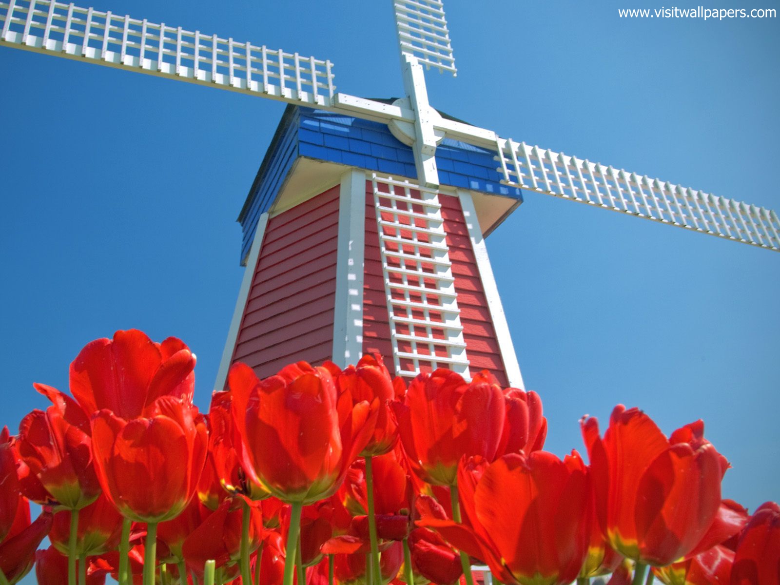 Windmill_01