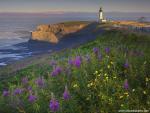 Lighthouse_40