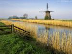 Windmill_06