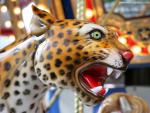 Wild_Ride