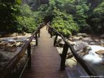 Parks_250
