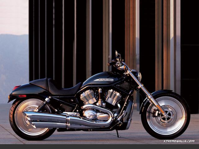 harley-003-01