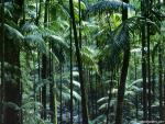 Australia_164