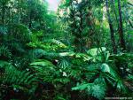 Australia_166