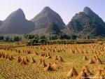 china_289