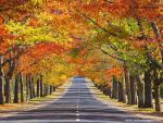 Australia_170