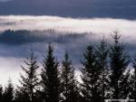 Scotland_050