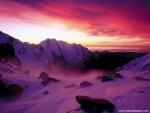 New_Zealand_188