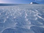 New_Zealand_194