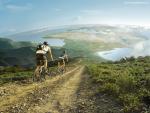 cycling6