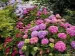 England_091