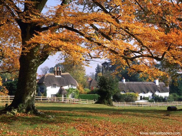England_100