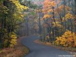 Parks_269