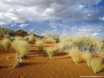 Parks_272